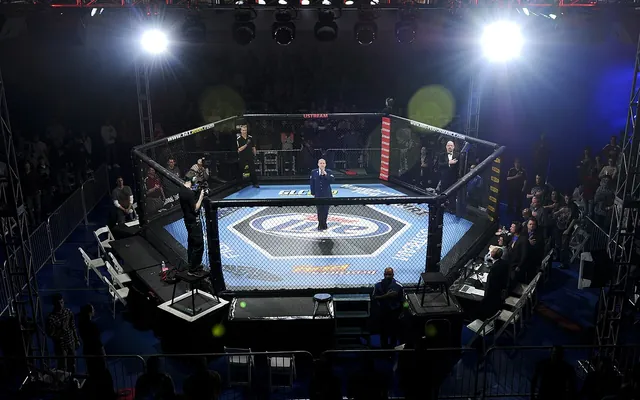 Mixed martial arts cage